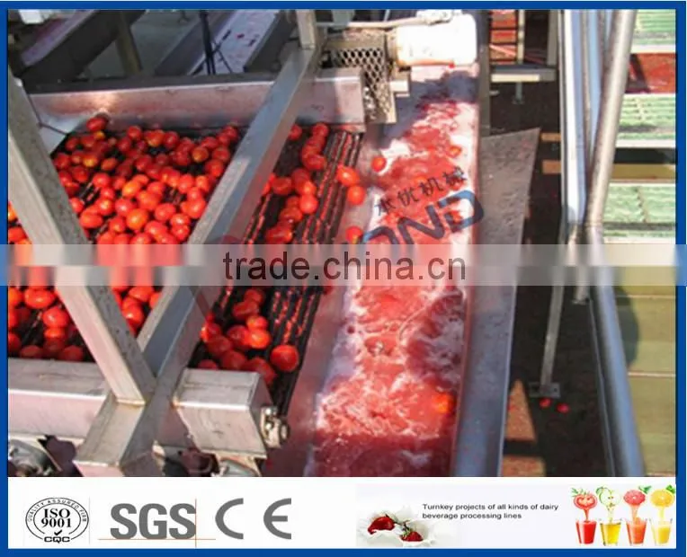 turnkey project of tomato ketchup production line