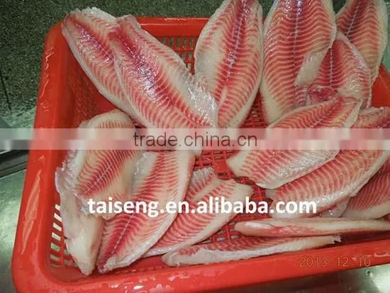 Frozen Fillets of Freshwater Fish Tilapia