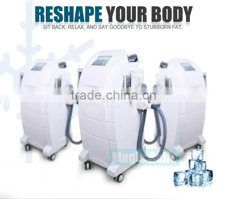 Cavitation Slimming Machine Fat Freezing Machine 2 Cryo Handles Cryolipolysis for Sale
