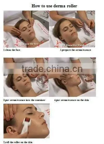 popular micro needle system/anti ageing/anti wrinkle/micro needle skin roller,derma rolling system