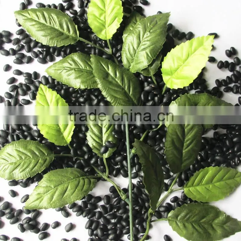 Dired china bean for sale in alibaba for Black bean for sale