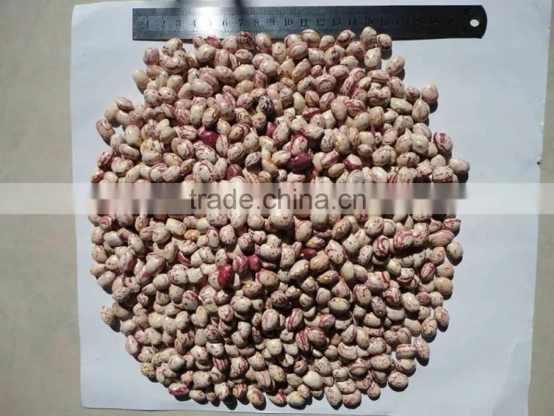2014 Light Speckled Kidney Bean Xinjiang Round Type 150-170
