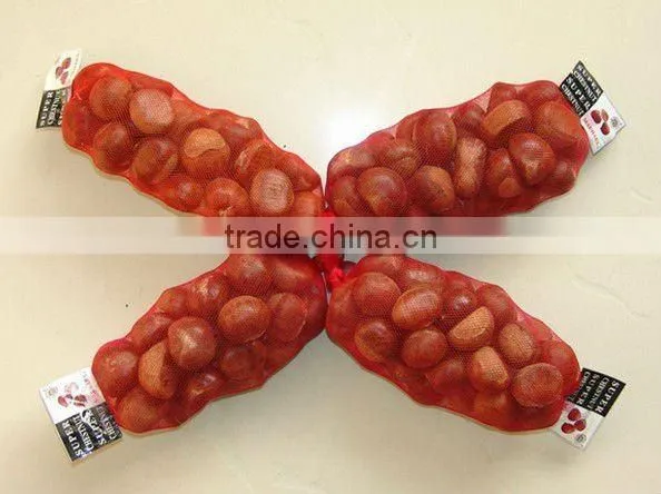 2013 Chinese chestnut