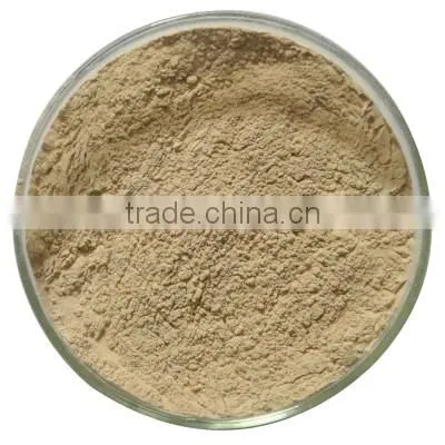 BNP Supply High Quality Green Coffee Bean Capsule For loss weight - Slimming Capsule