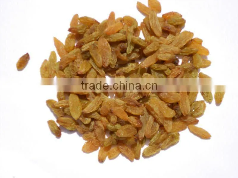 Dried Raisins