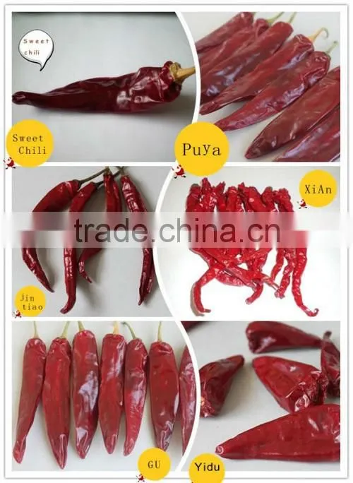 Dried Chinese Paprika Chili Whole
