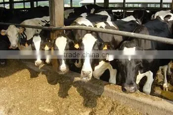 1-20T/H Cow Feed Pellet Making Machine Price