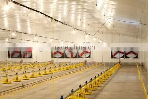 Poultry fan/broiler breeder house fan/chicken fan/egg fan/cone fan/chicken farm