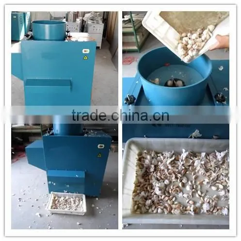 The price of garlic separator machine and peeling machine in China factory