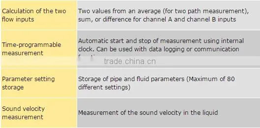 US300FM Ultrasonic Flowmeter