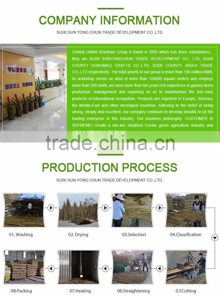 Natural garden deco reed stick fencing for gardening in best quality
