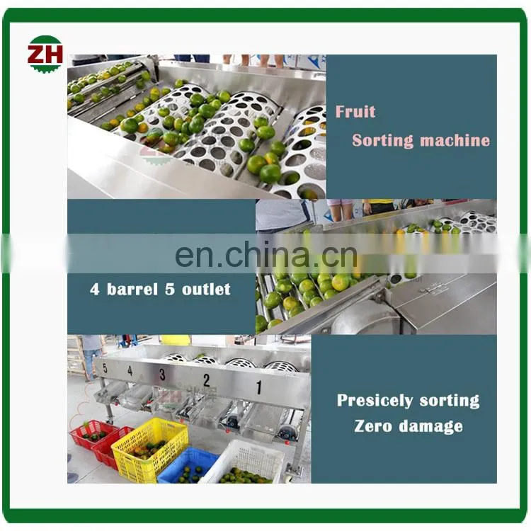 High effective blueberry fruit selecting machine blueberry fruit grading machine