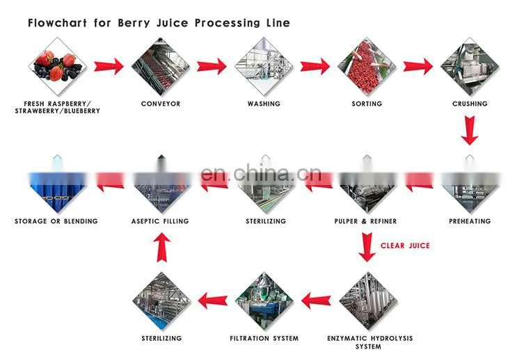 Juice concentrate machinery for producing fruit drink production line