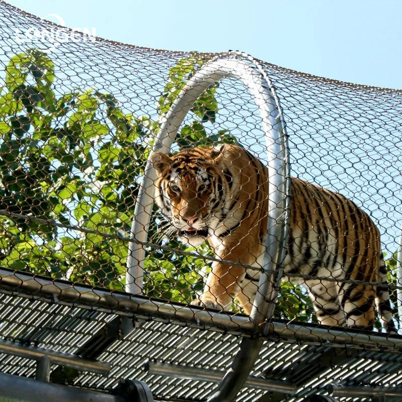 Tiger Enclosure