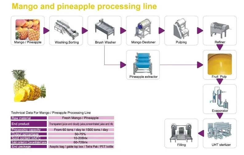 10T/H Turnkey Solution and Technical Support for Pineapple Processing Line With All Kinds of Package