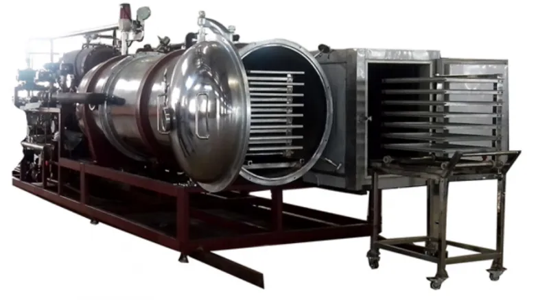 Industrial Commercial Lemon Freeze Dryer for Fruit and Vegetable on Sale Lemon Freeze Dryer