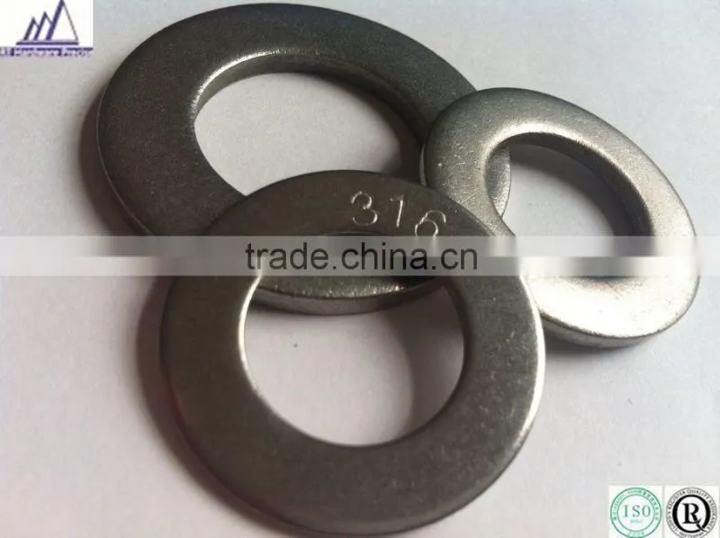 Din9012 type 316 thin flat washer 12mm