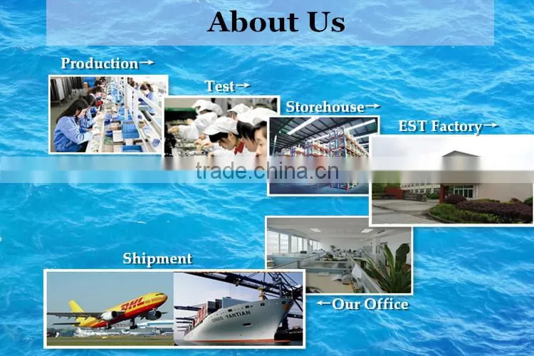 Bio Scalar Energy Sticker Mobile Phone Anti Radiation Sticker Manufacturer