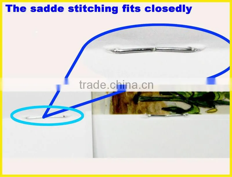 Energy Saving Lamp Booklet Printing ,Fast Delivery