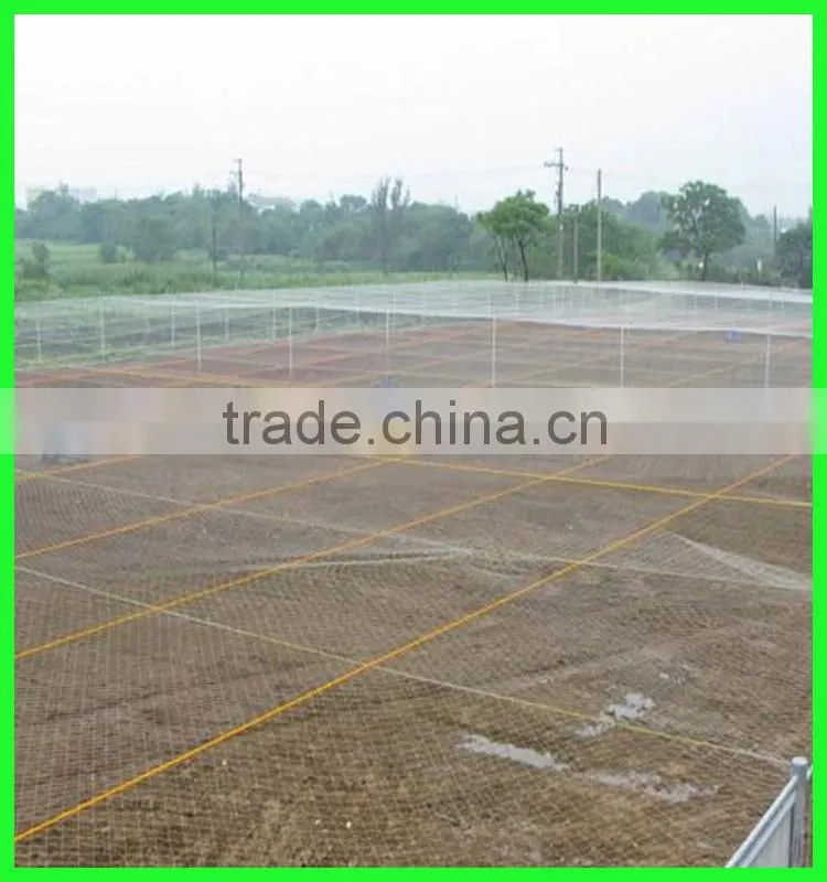 Clear anti bird hail cover net/uv resistance woven mesh net/reinforced hail guard net