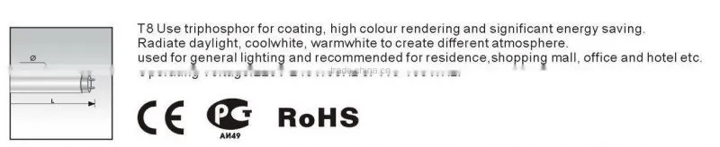 T8 fluorescent lamp