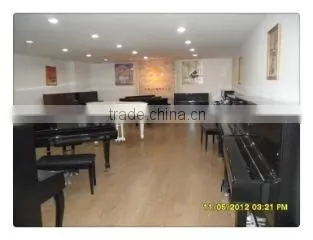 Shanghai Artmann Piano Co., Ltd. company overview - view 3