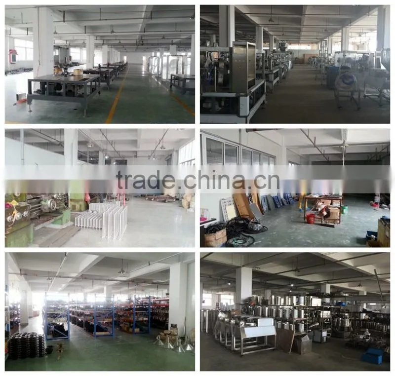 Solid Snacks Premade Rotary Automatic Packaging Machine