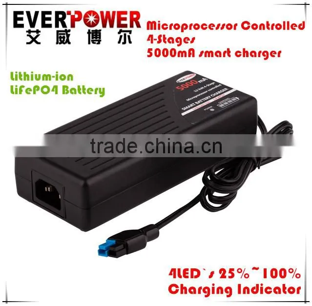 Everpower Microprosser Controlled AC DC LiFePO4 battery charger with cut-off function