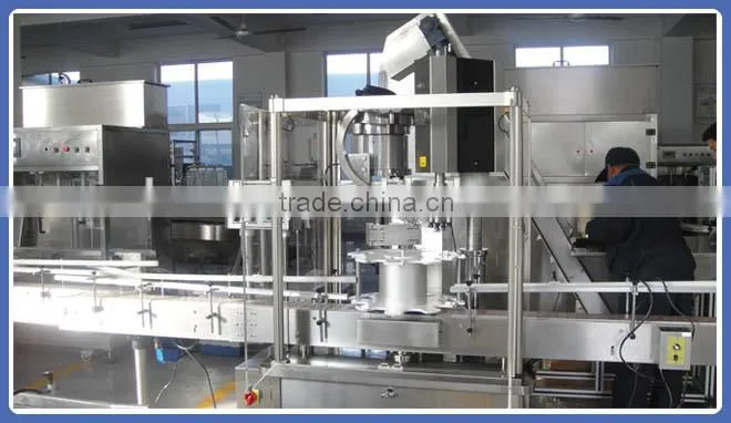 Canola Oil Bottle Screw Capping Machine, China Screw Capping Machine, Capper