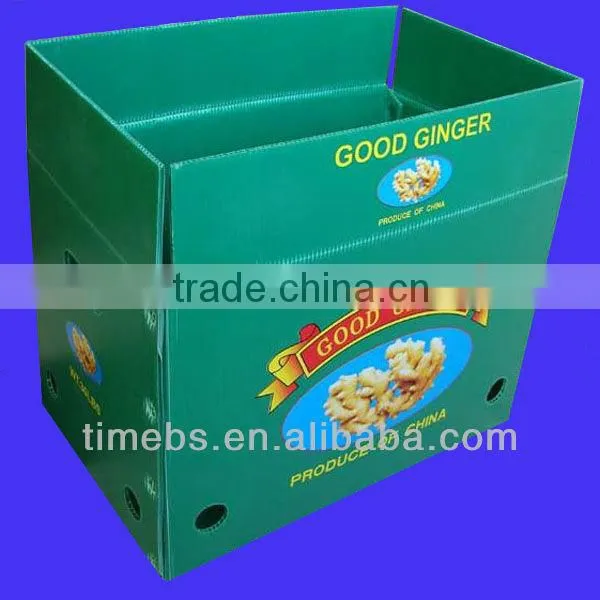 Corflute vegetable boxes