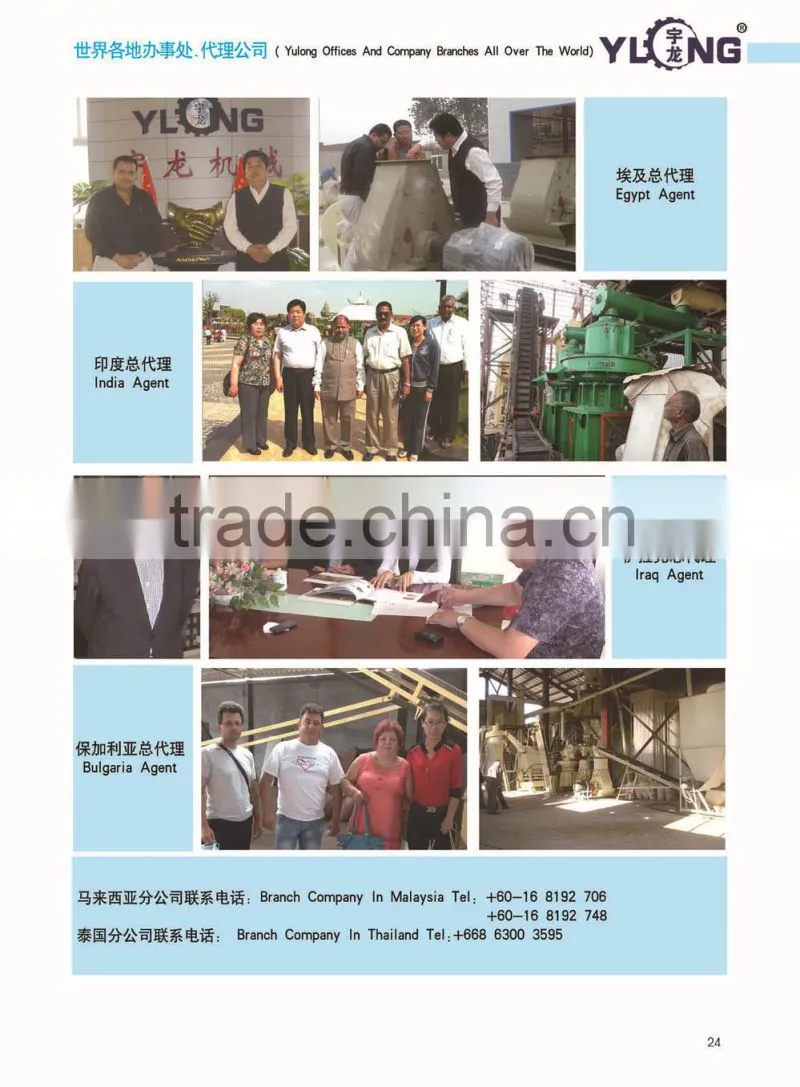 1 Ton Per Hour Ring Die Chicken Feed Pellet Making Machine with CE ISO and SGS Certificates