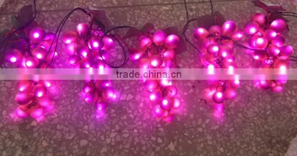 2015 style grape CE ROHS certificated new designed popular ball led decorate light led home decoration light