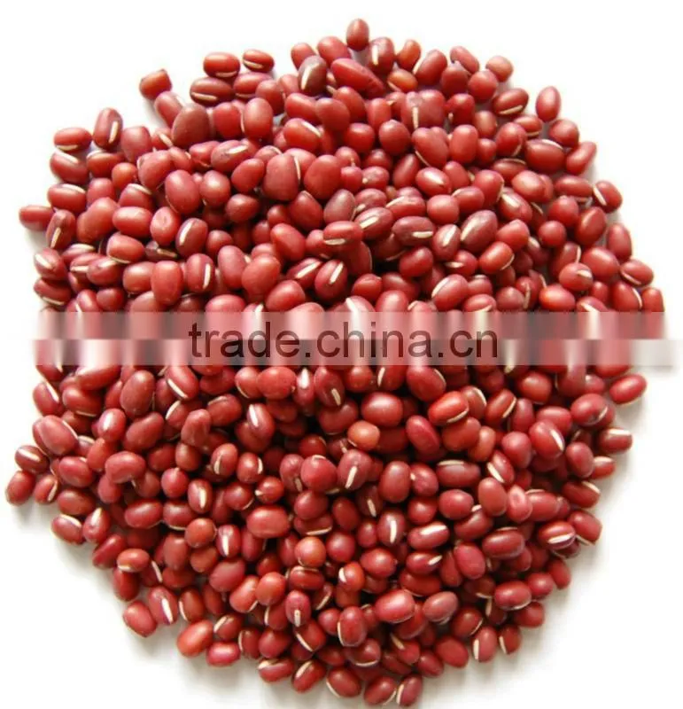 2015 Dark Red Kidney Bean