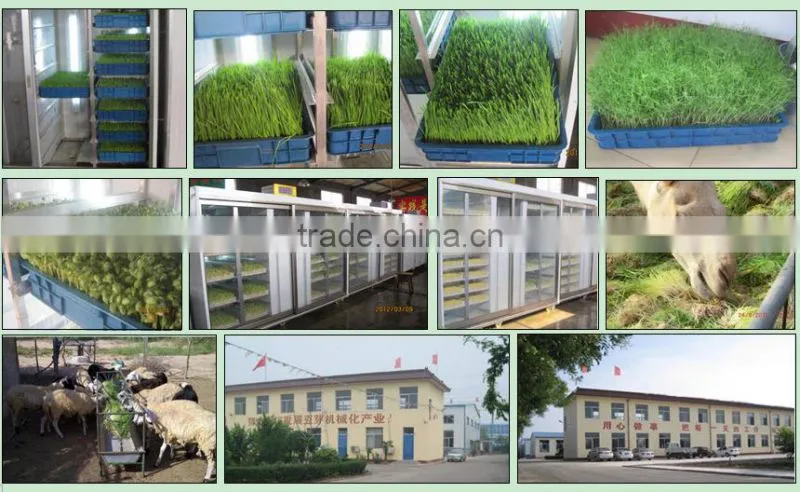 2014 newest advantage animal feeding machine