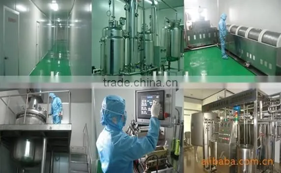 more than 5 ton capacity honey processing machine / honey thickener machine