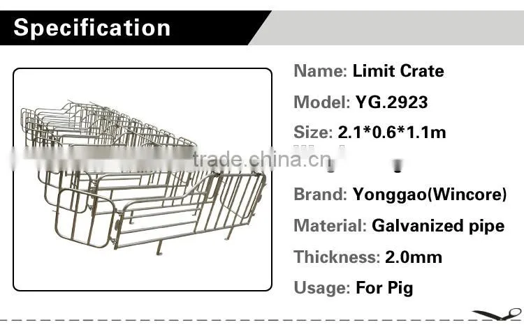Pig Farming Equipment,Double Limiting Crate