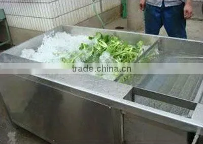 Vegetable cleaning machine for food processing