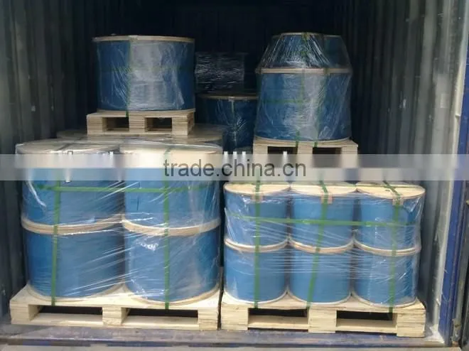 AISI 304 304L 310 316 316L SUS Stainless Steel Rigging Wire