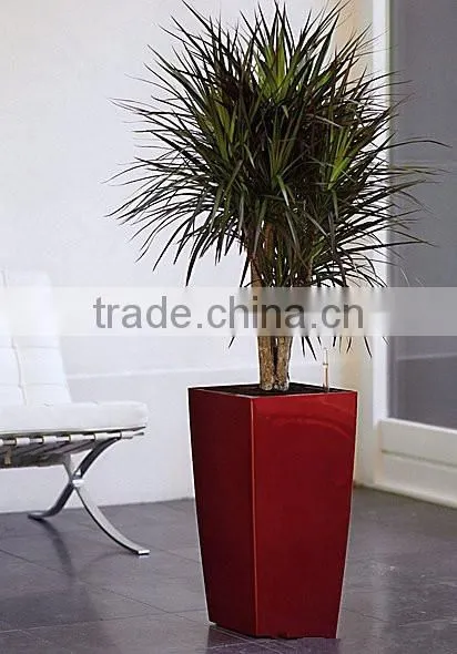 White color mexican flower pot