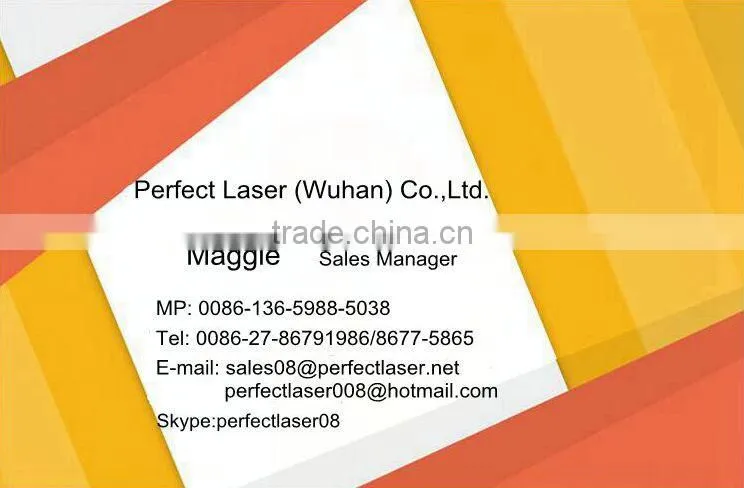 Full automatic expiry date big character handheld inkjet printer