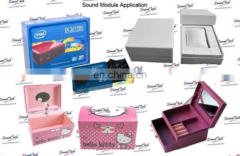 China Golden Supplier Custom programmable voice box