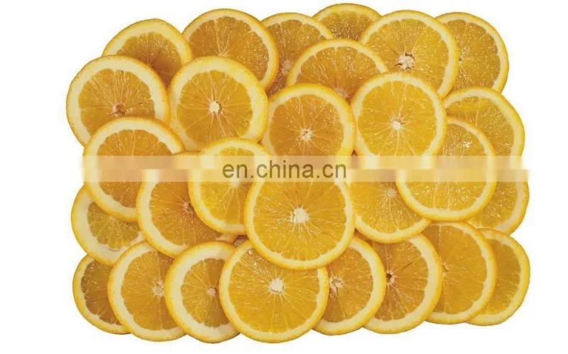 Fruit grater slicer vegetable cutter vegetable/industrial fruit cutter/commercial melon and fruit cutter
