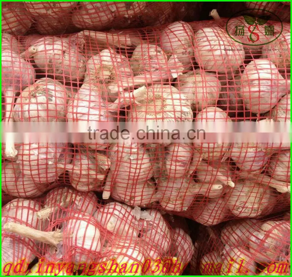 (NEW) 2015 China Fresh Garlic Enjoying High Reputation at Abroad
