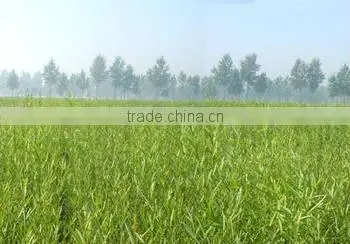 wholesale oral fabric firewood basket
