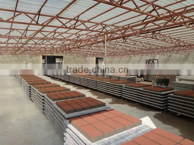High Quality Paver Brick Making Machinery with low investment