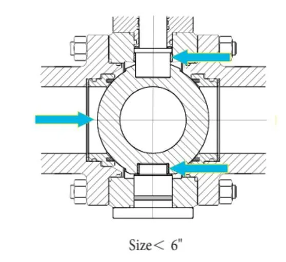 B6