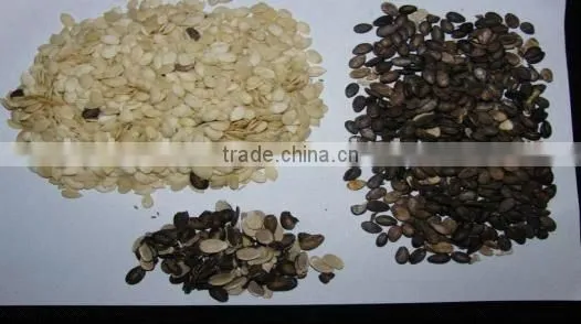 Widely used hulling and separating equipment for watermelon seeds