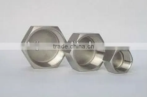 Seamless Pipe Fitting Made in China Stainless Steel Hex Cap