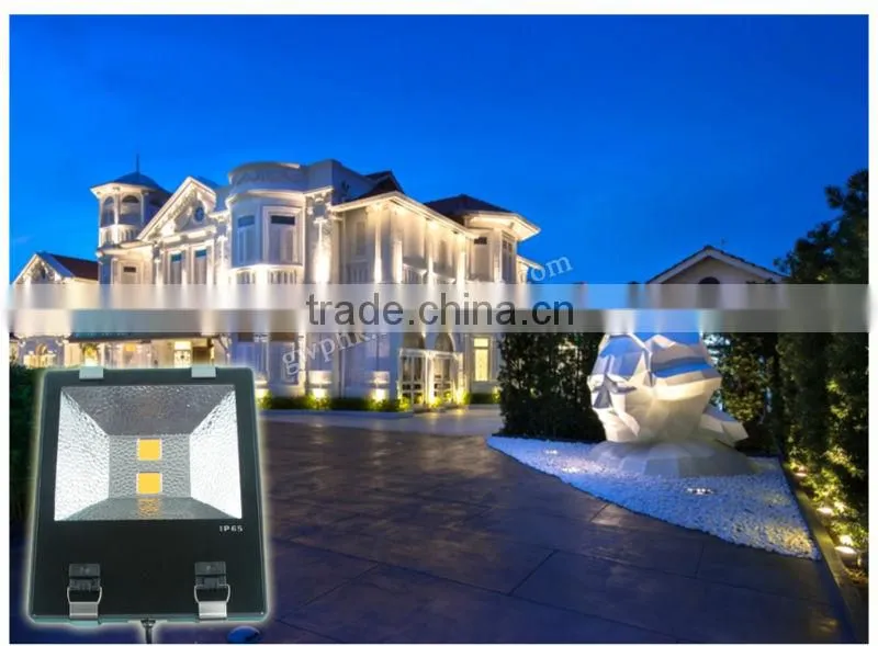 LED flood light with motion sensor