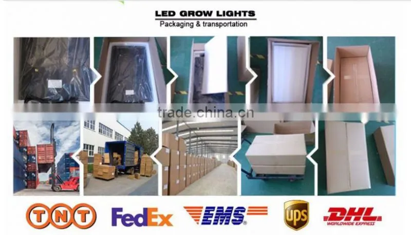 Noah 6s LED Grow Light